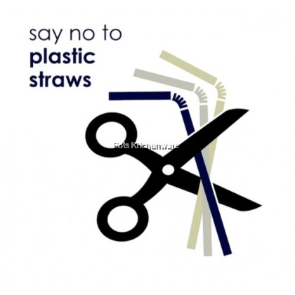Relax Stainless Steel Reusable Washable Straight Straw Bend Straw with Brush 不锈钢吸管 - D2001D2002
